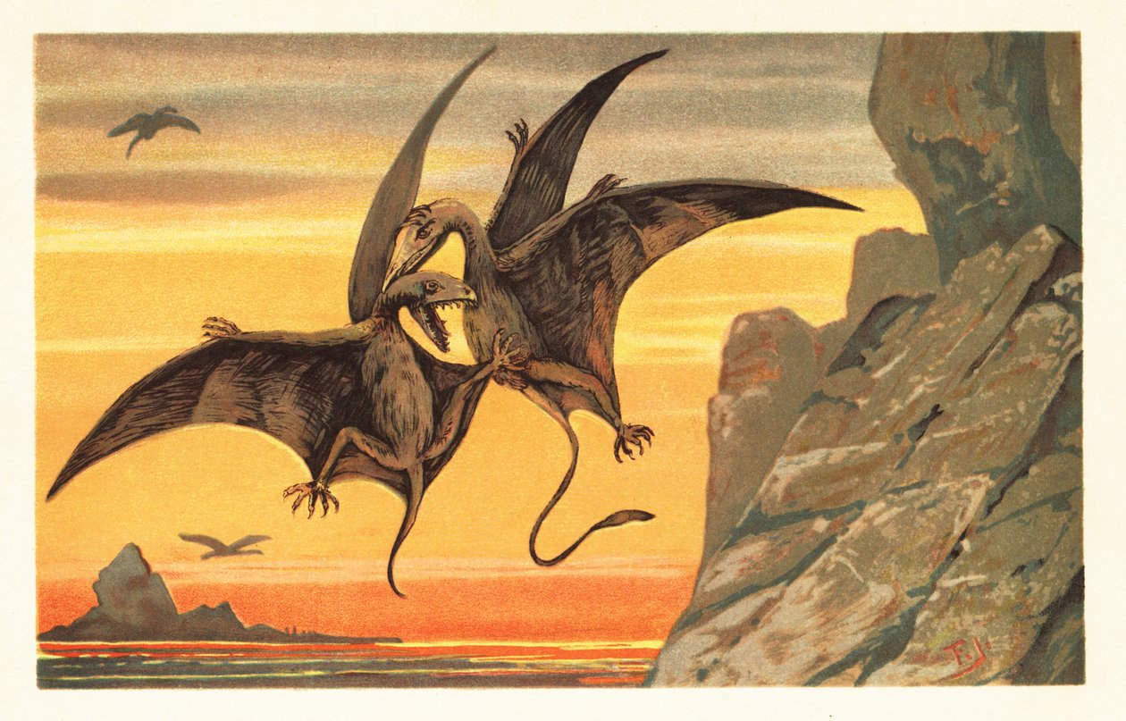 To pterodactyler kjemper midt på flukt mot en blodrød himmel.1908 (litografi) av Unbekannter Künstler