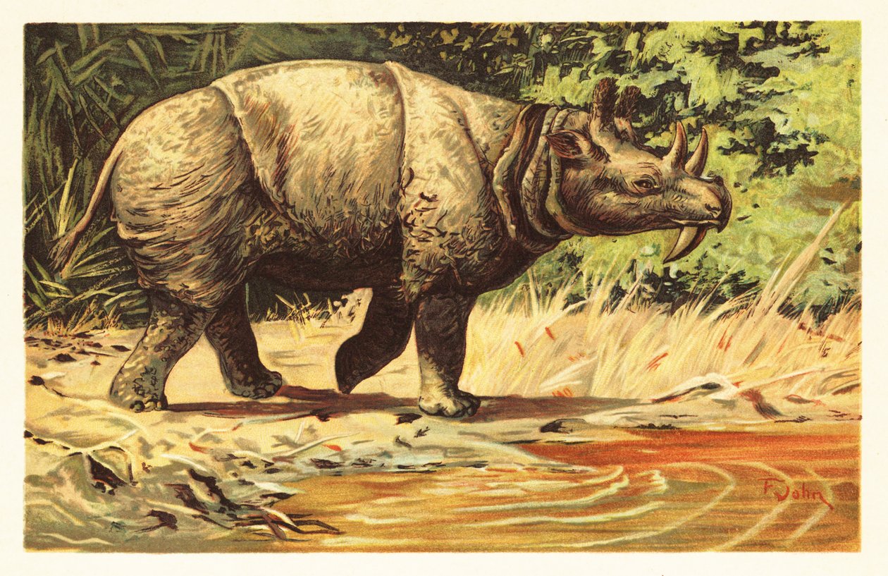Uintatherium anceps, utdødd planteetende pattedyr fra eocen.1908 (litografi) av Unbekannter Künstler