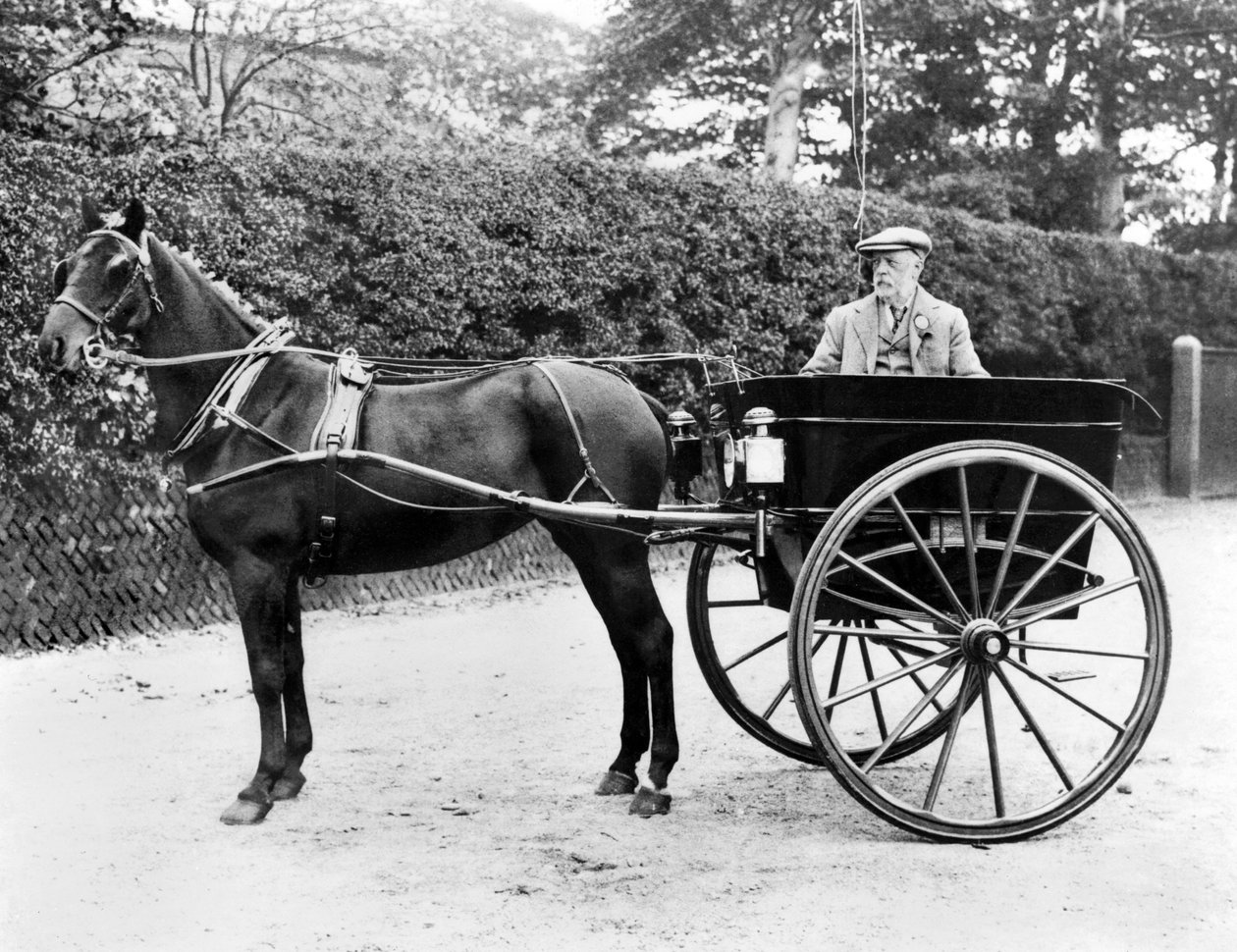 Storbritannia: En hest og felle. c1905 av Unbekannt