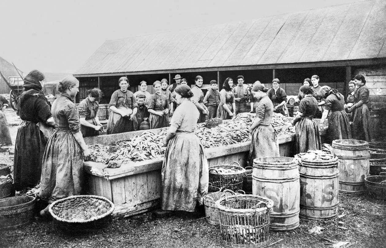 Storbritannia: Kvinnersild. Aberdeen, ca 1880 av Unbekannt