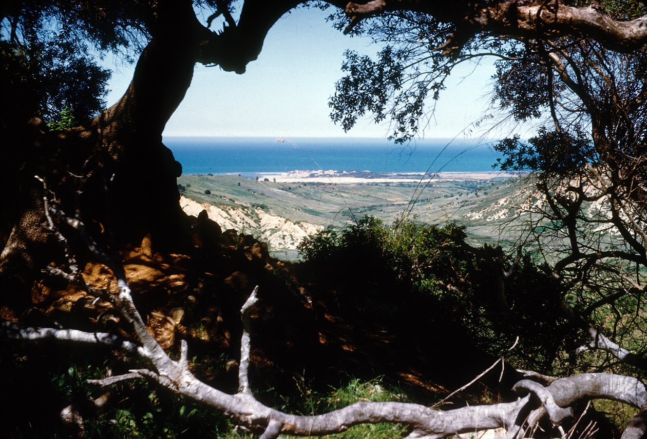 Utsikt over Middelhavet, Kabylia, Algerie av Unbekannter Künstler