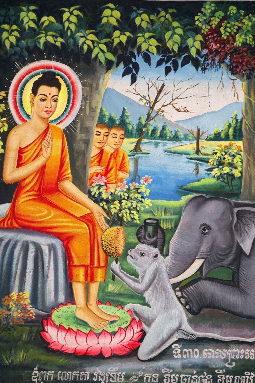 Veggmaleri i Wat Pitchey Udong: Scene fra Buddhas liv. Buddha matet av en ape mens han fastet Kampot Cambodge av Unbekannt