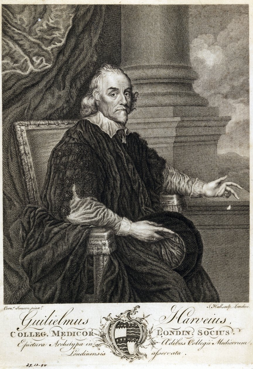 William Harvey, engelsk lege av Unbekannt