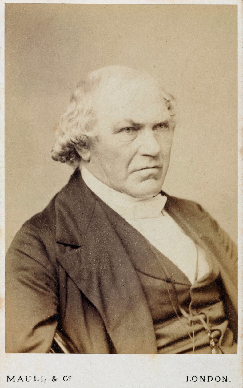 William Whewell, engelsk polymat, ca 1866-1879 av Unbekannt