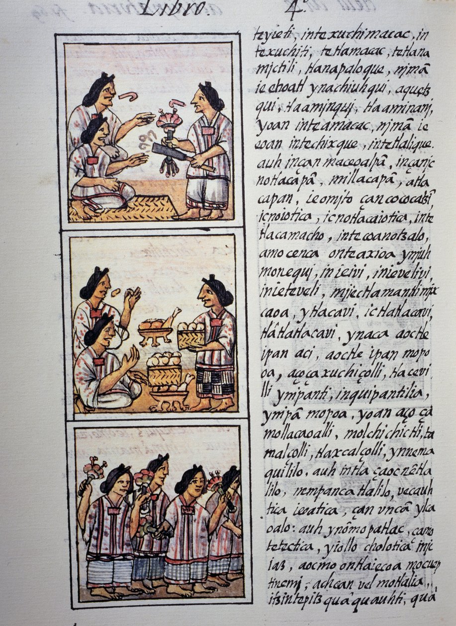 Kvinner forbereder fest, bok IV av florentinsk kodeks, tospråklig versjon på spansk og nahuatl, generell historie om tingene i det nye Spania (Historia general de las cosas de Nueva Espana), aztekisk sivilisasjon av William M. Timlin