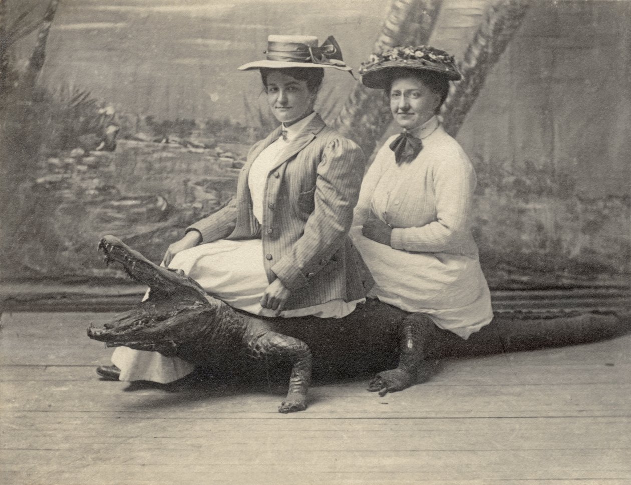 Kvinner sitter på en utstoppet alligator, ca. 1905 (s/hvitt-bilde) av Unbekannter Künstler