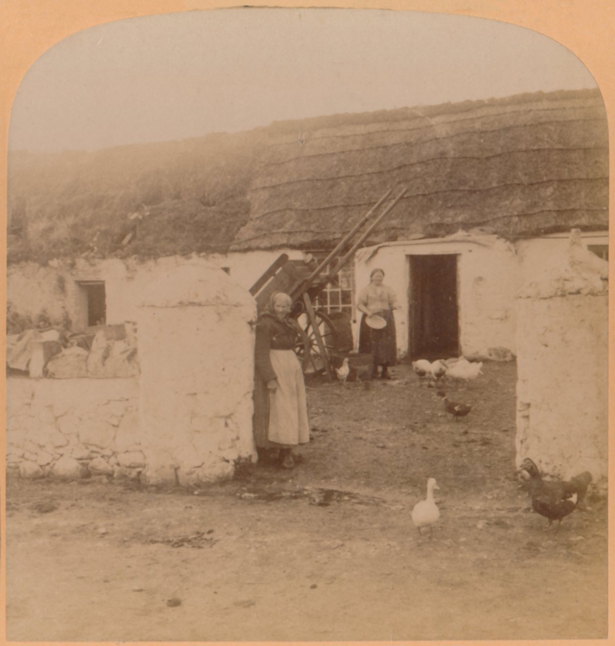 Et karakteristisk hjem, Ballintoy Village, County Antrim, Irland, 1900. av Underwood and Underwood