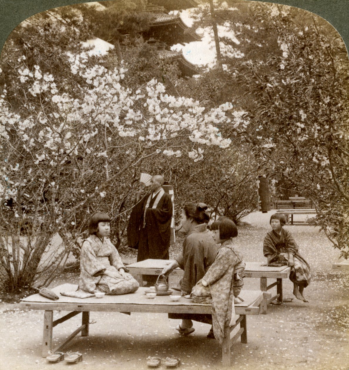 En familie som nyter en piknik under kirsebærblomstene, Omuro Gosho, Kyoto, Japan, 1904. av Underwood and Underwood