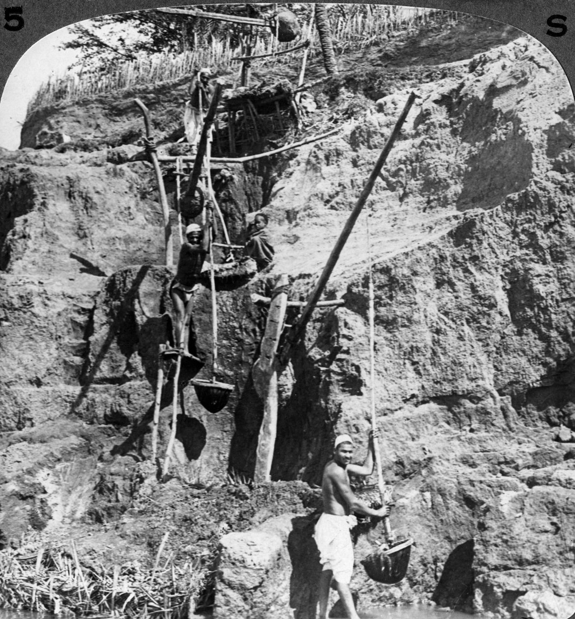 En egyptisk shaduf som løfter Nilen til de tørste åkrene, Egypt, 1905. av Underwood and Underwood
