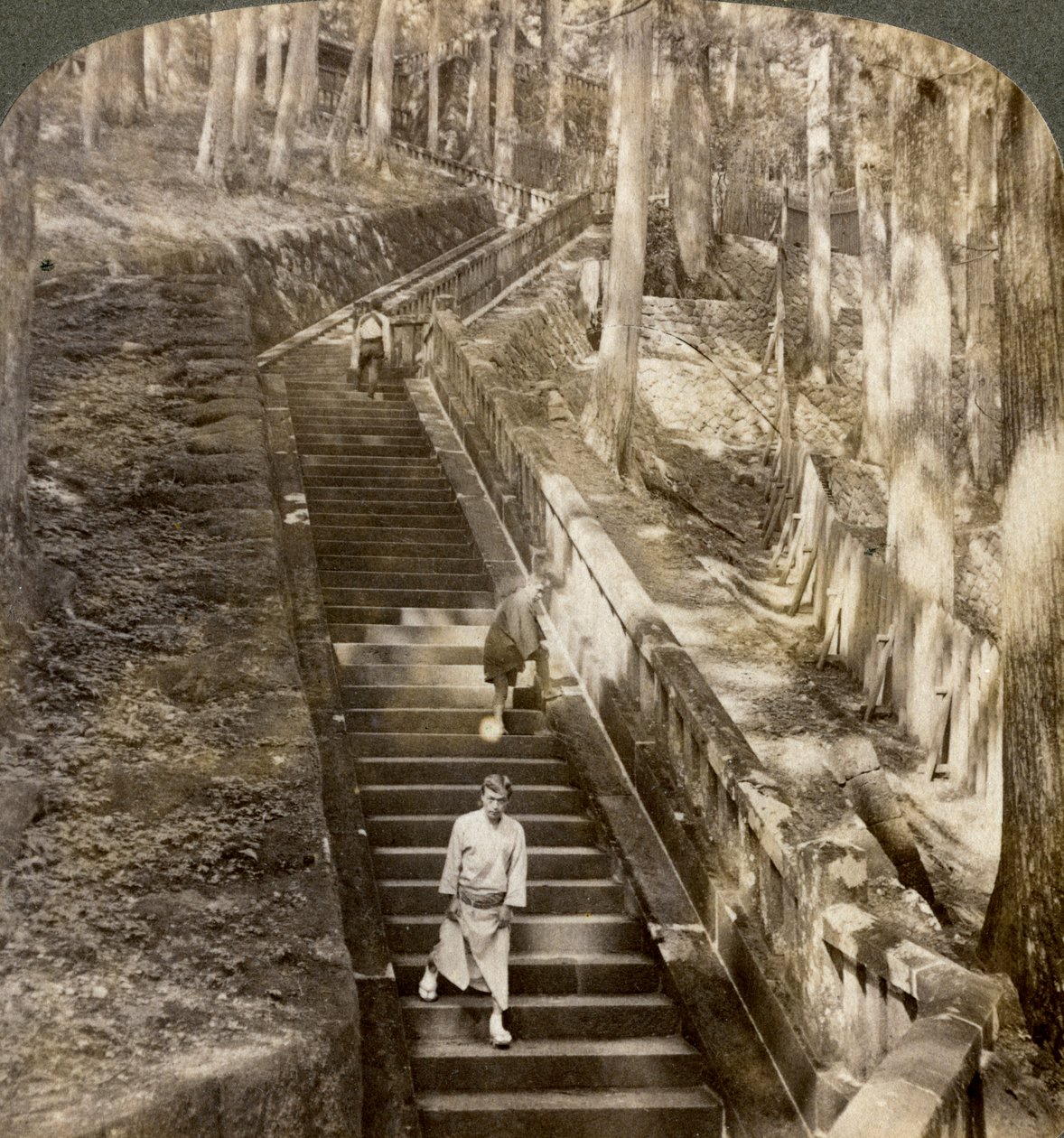 Gammel steintrapp opp bakken til graven til Shogun Ieyasu, Nikko, Japan, 1904. av Underwood and Underwood