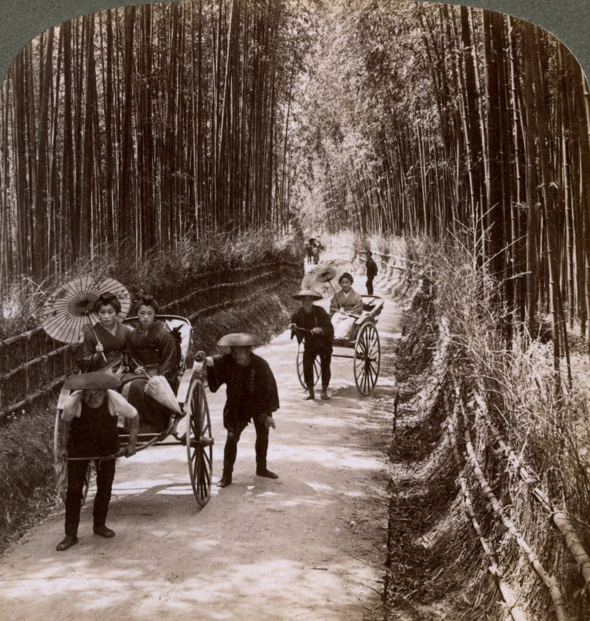 Bambus allé, ser sør-vest, nær Kiyomizu, Kyoto, Japan, 1904 av Underwood and Underwood