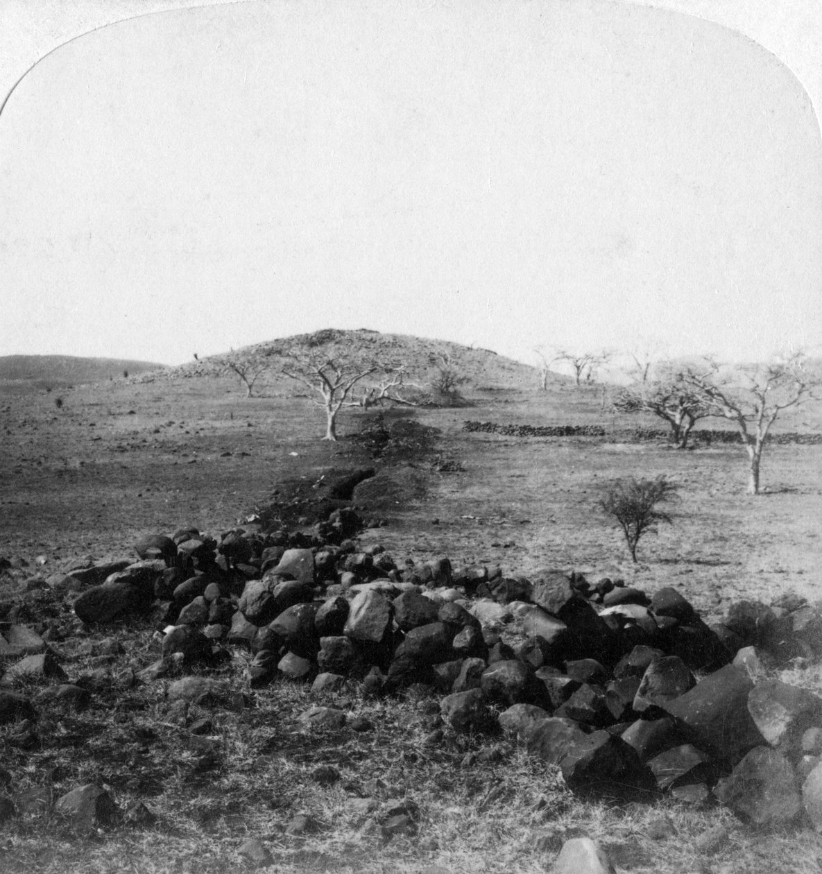 Boereskyttergraver og toppen av Harts Hill, scene for de irske brigadenes berømte anfall, Colenso, 1901 av Underwood and Underwood