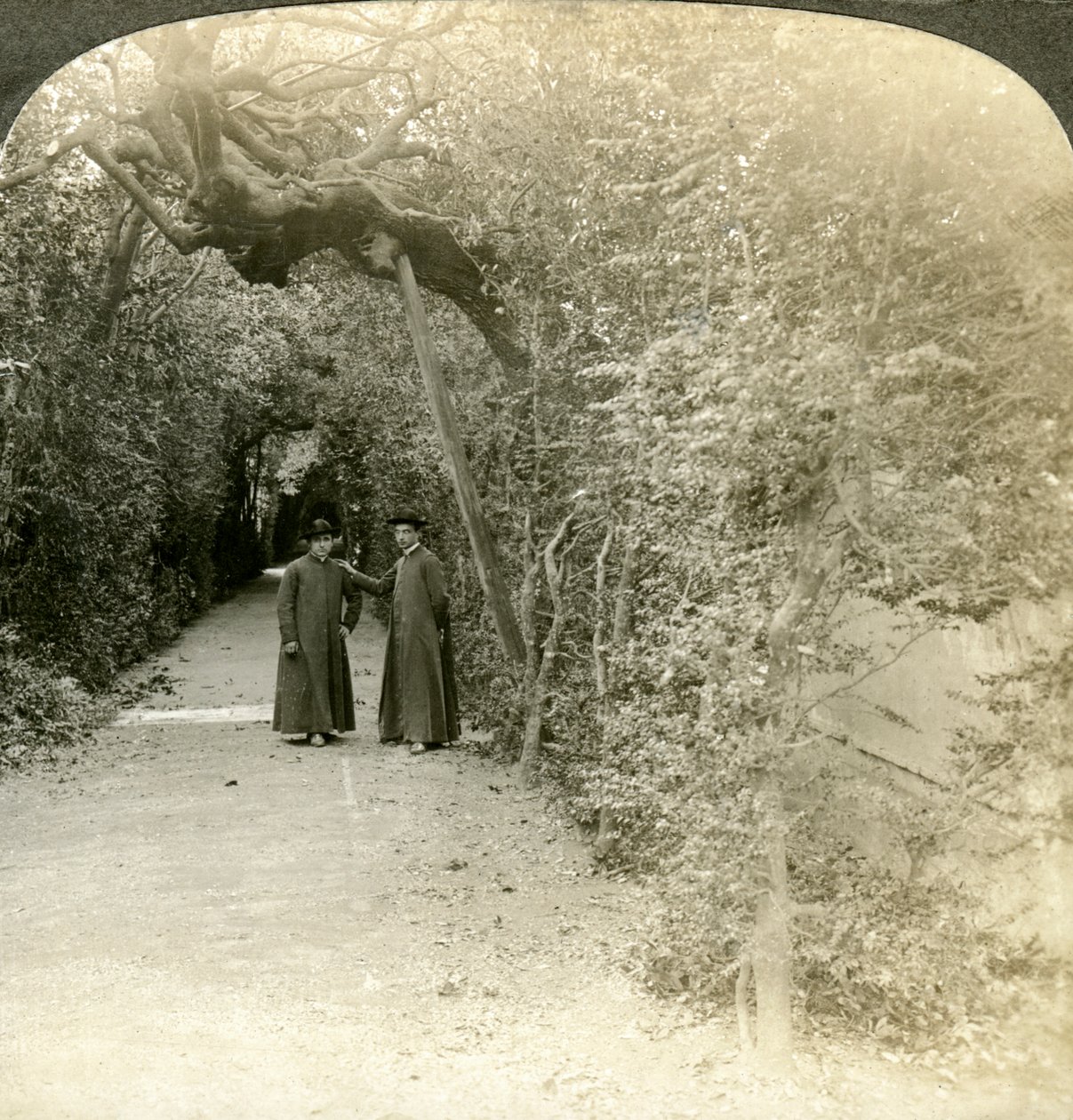 Bower of St Anthony, Vatikanhagen, Roma, Italia. av Underwood and Underwood