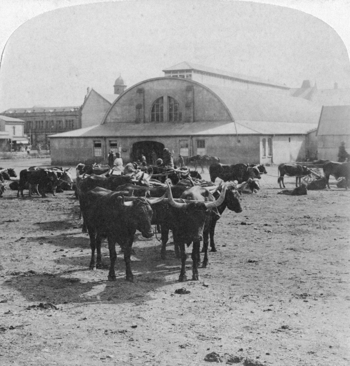 Bygning der krigsfanger ble prøvd, Pretoria, Sør-Afrika, Boer War, 1901 av Underwood and Underwood