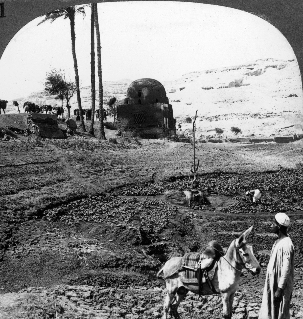 Klippegraver til herrene i Assiut, Egypt, 1905. av Underwood and Underwood