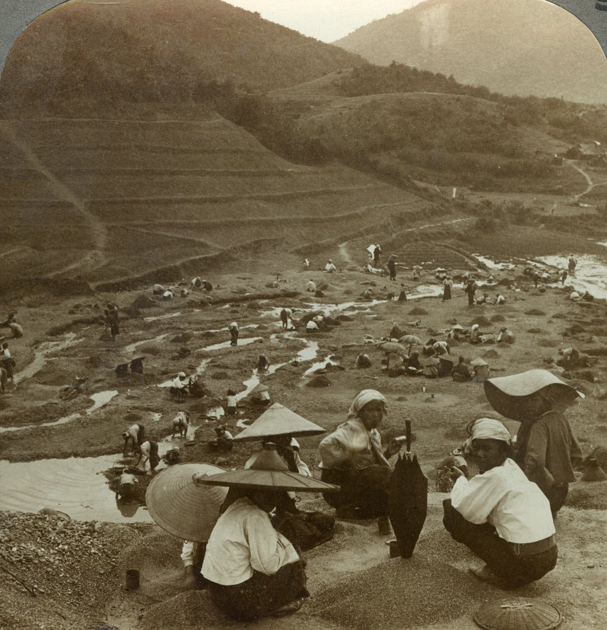 Mudring av et elveleie for rubiner, Mogok, Burma, ca. 1900-tallet. av Underwood and Underwood