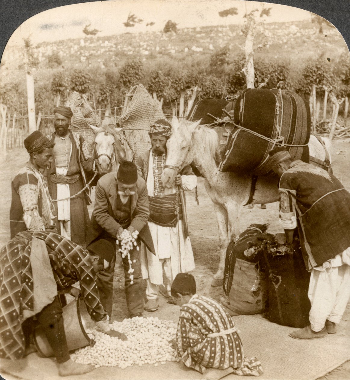 Eksperter som kjøper silkekokonger for eksport til Frankrike, Antiokia, Syria, 1900-tallet. av Underwood and Underwood