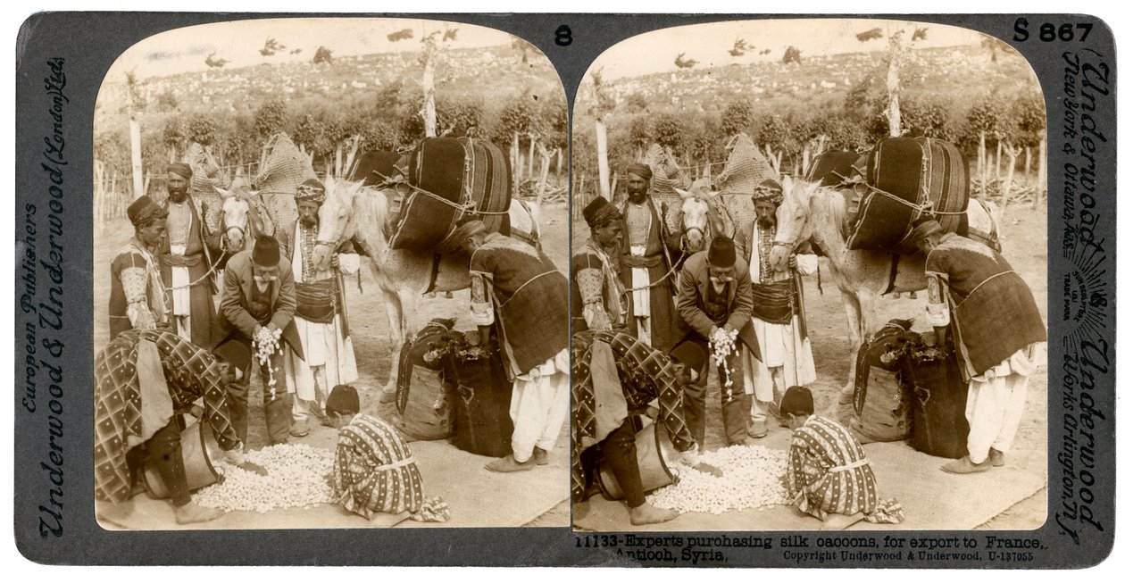 Eksperter som kjøper silkekokonger for eksport til Frankrike, Antiokia, Syria, 1900-tallet. av Underwood and Underwood