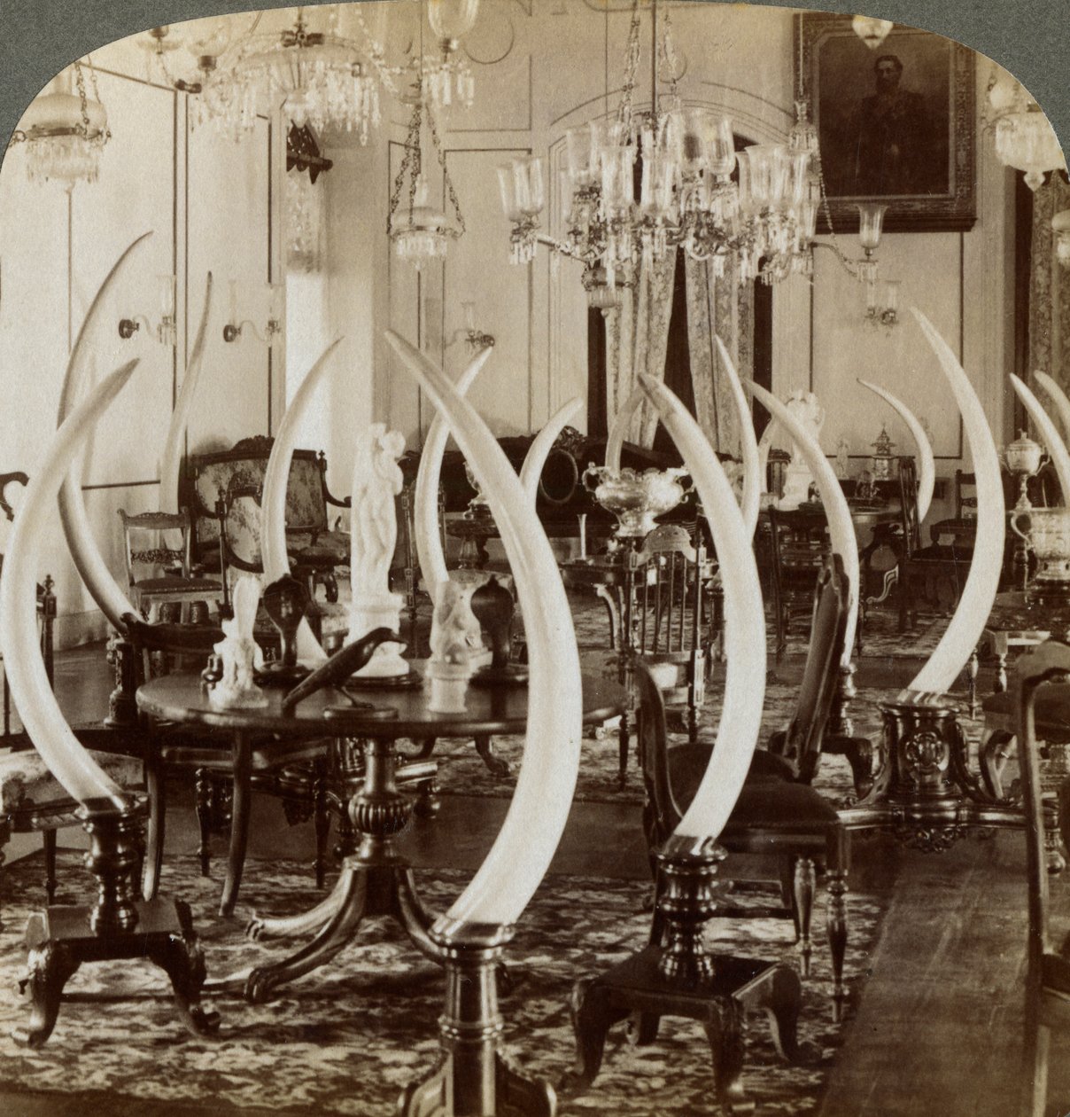 Hall of Tusks, i hjemmet til Lady de Soysa, Bambalapitiya, Colombo, Ceylon, 1903 av Underwood and Underwood