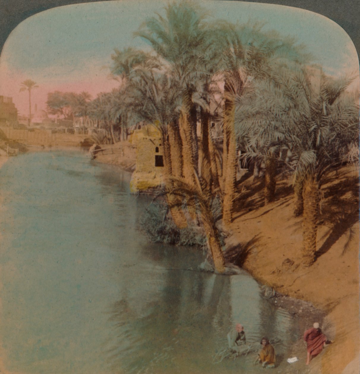 I Fayum, den rikeste oasen i Egypt ved Bahr Yussef-elven Joseph, til Nilen, 1902. Kunstnere: Elmer Underwood, Bert Elias Underwood. av Underwood and Underwood