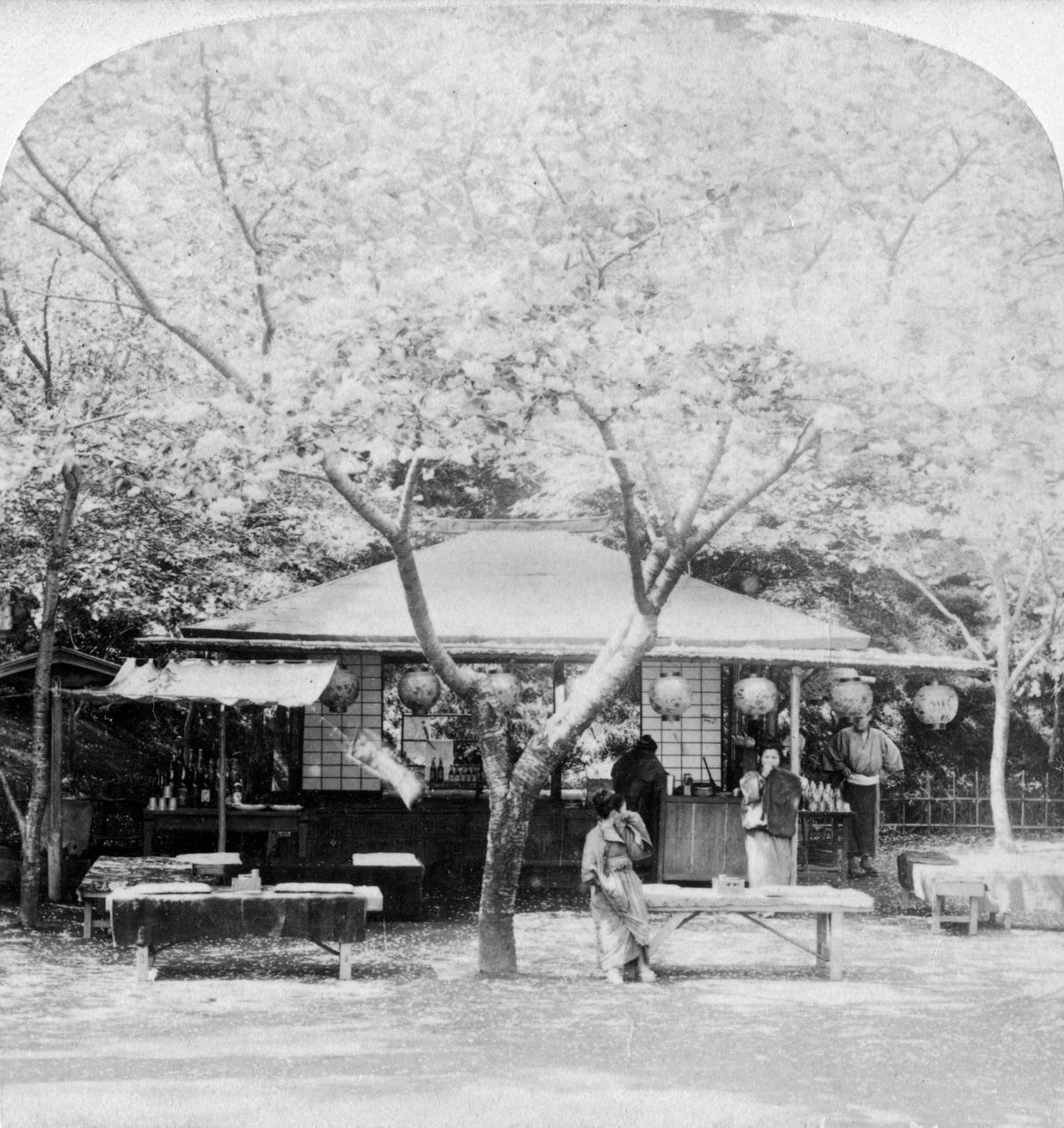 I hjertet av blomsterriket, Nara, Japan, 1896. av Underwood and Underwood