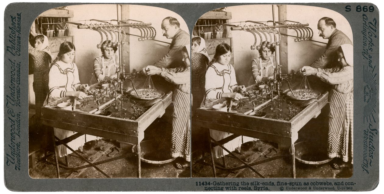 Produserer silke, Syria, 1900-tallet. av Underwood and Underwood