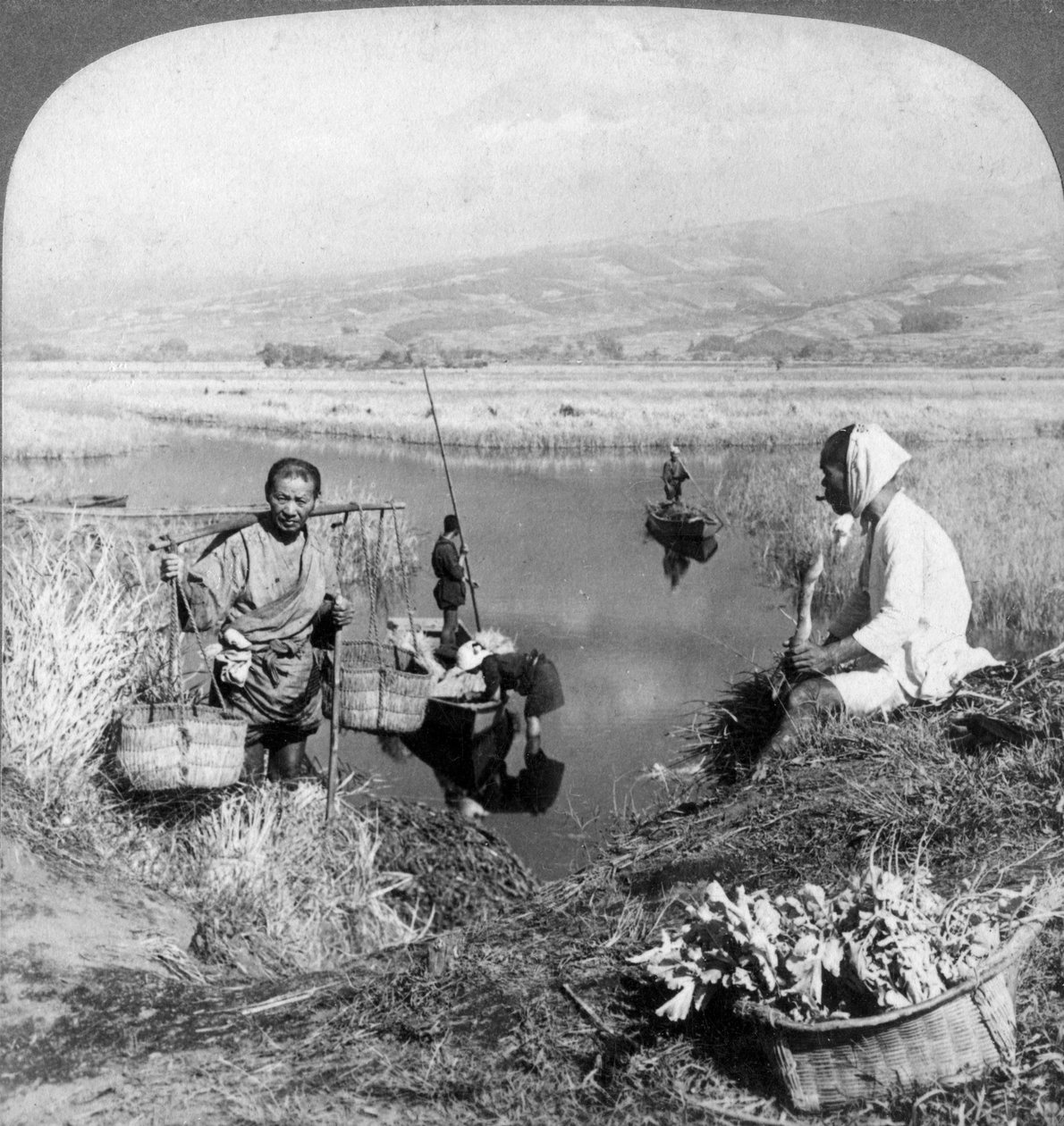 Men gathering rushes near Suzukawa, Fujiyama, Japan, 1904. av Underwood and Underwood