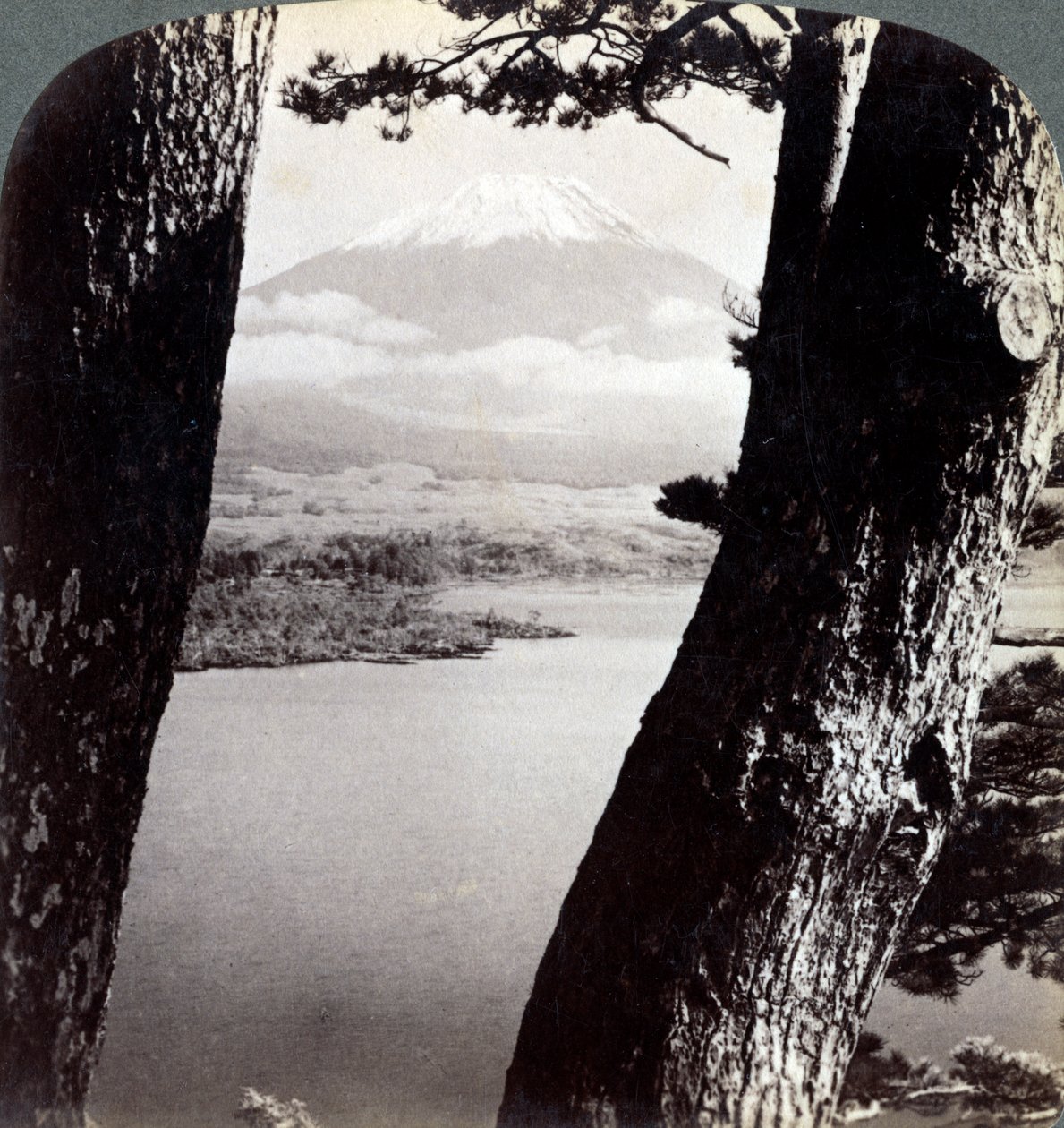 Fuji-fjellet, sett fra nordvest, gjennom furu ved Motosu-sjøen, Japan, 1904 av Underwood and Underwood