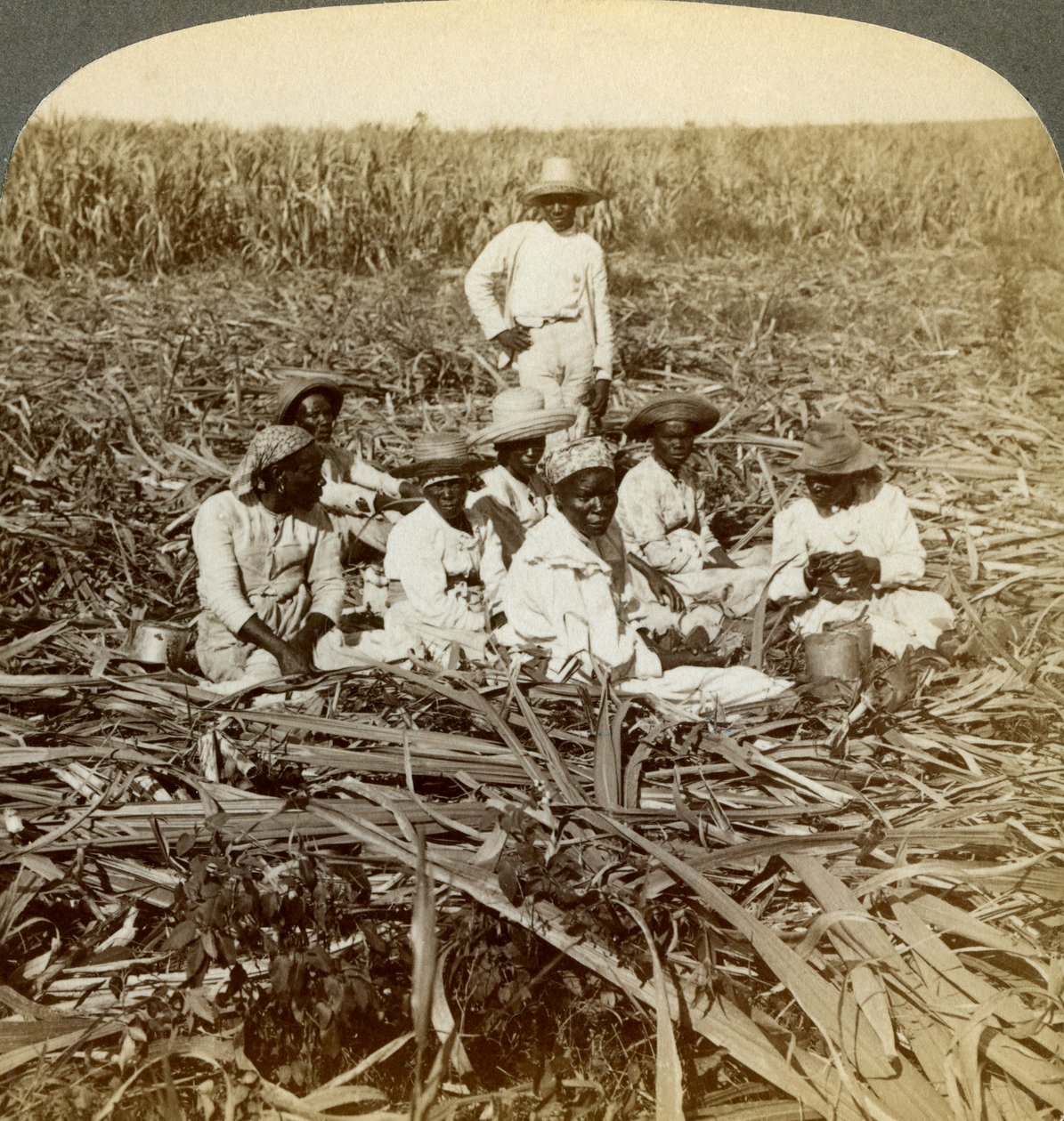 På La Union sukkerplantasje, San Luis, Santiago-provinsen, Cuba, 1899. av Underwood and Underwood