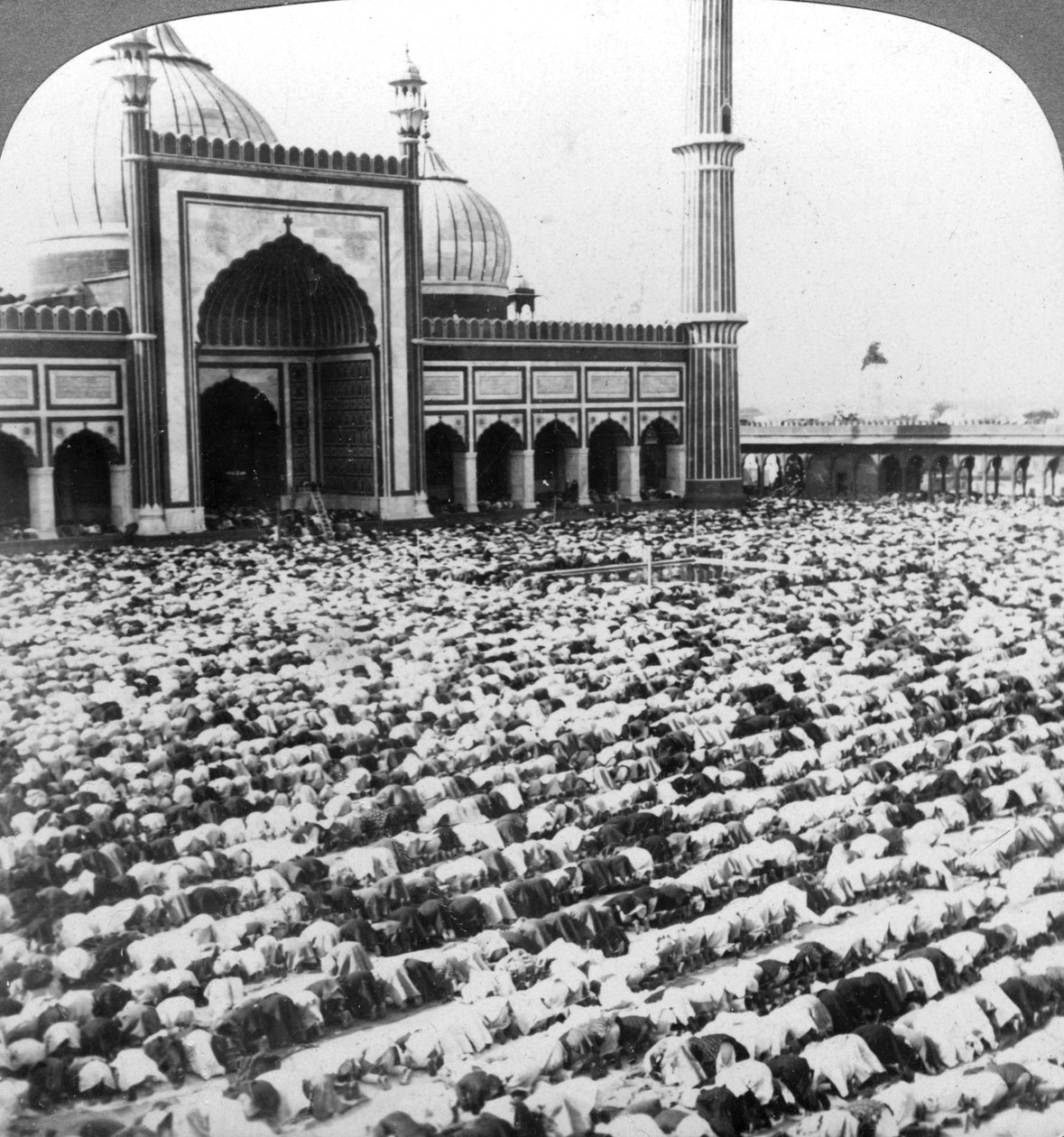 Ber ved Jumma Musjid, Delhi, India, 1904. av Underwood and Underwood
