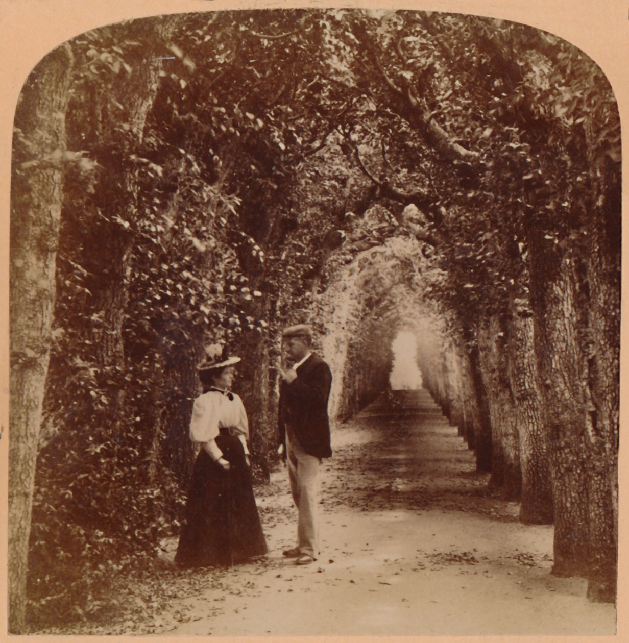 Queen Marys Bower, Hampton Court, London, England, 1896. av Underwood and Underwood