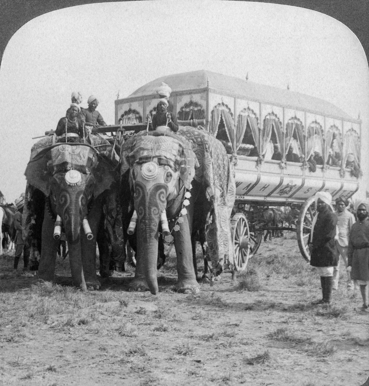 Rikt utsmykkede elefanter og vogn av Maharaja av Rewa ved Delhi Durbar, India, 1903 av Underwood and Underwood