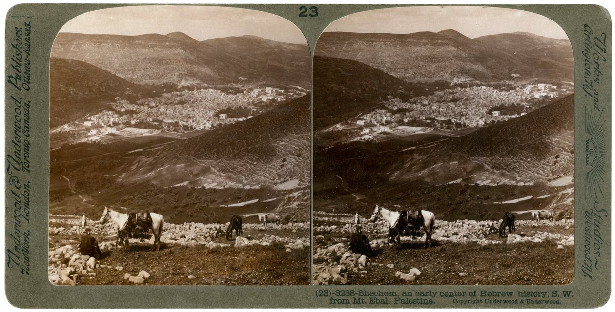Sikem, sørvest fra Mount Ebal, Palestina, 1900-tallet. av Underwood and Underwood