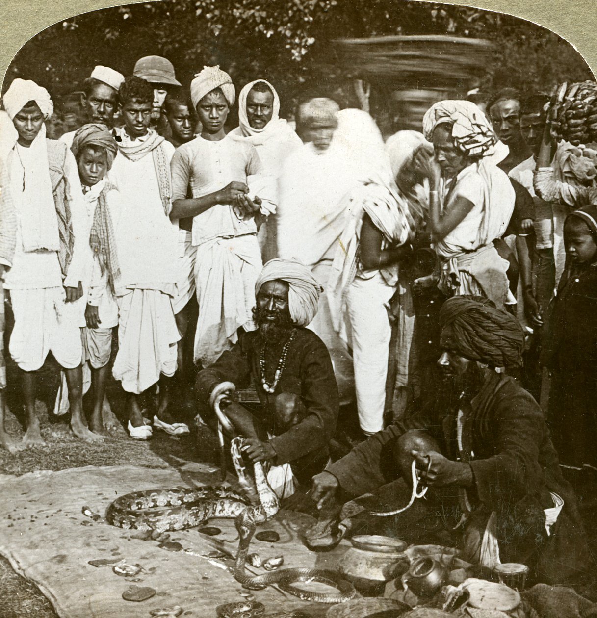 Slangejarmer, Calcutta, India, ca 1900-tallet. av Underwood and Underwood