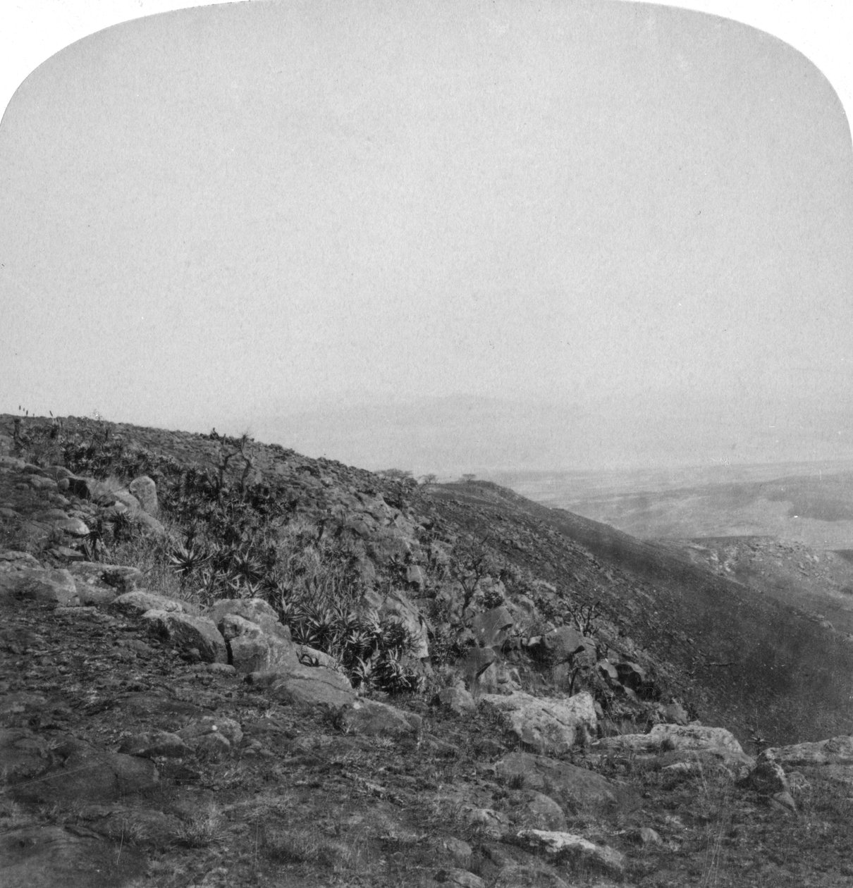 Sørskråningen til Spion Kop, Sør-Afrika, Boer War, 1901. av Underwood and Underwood