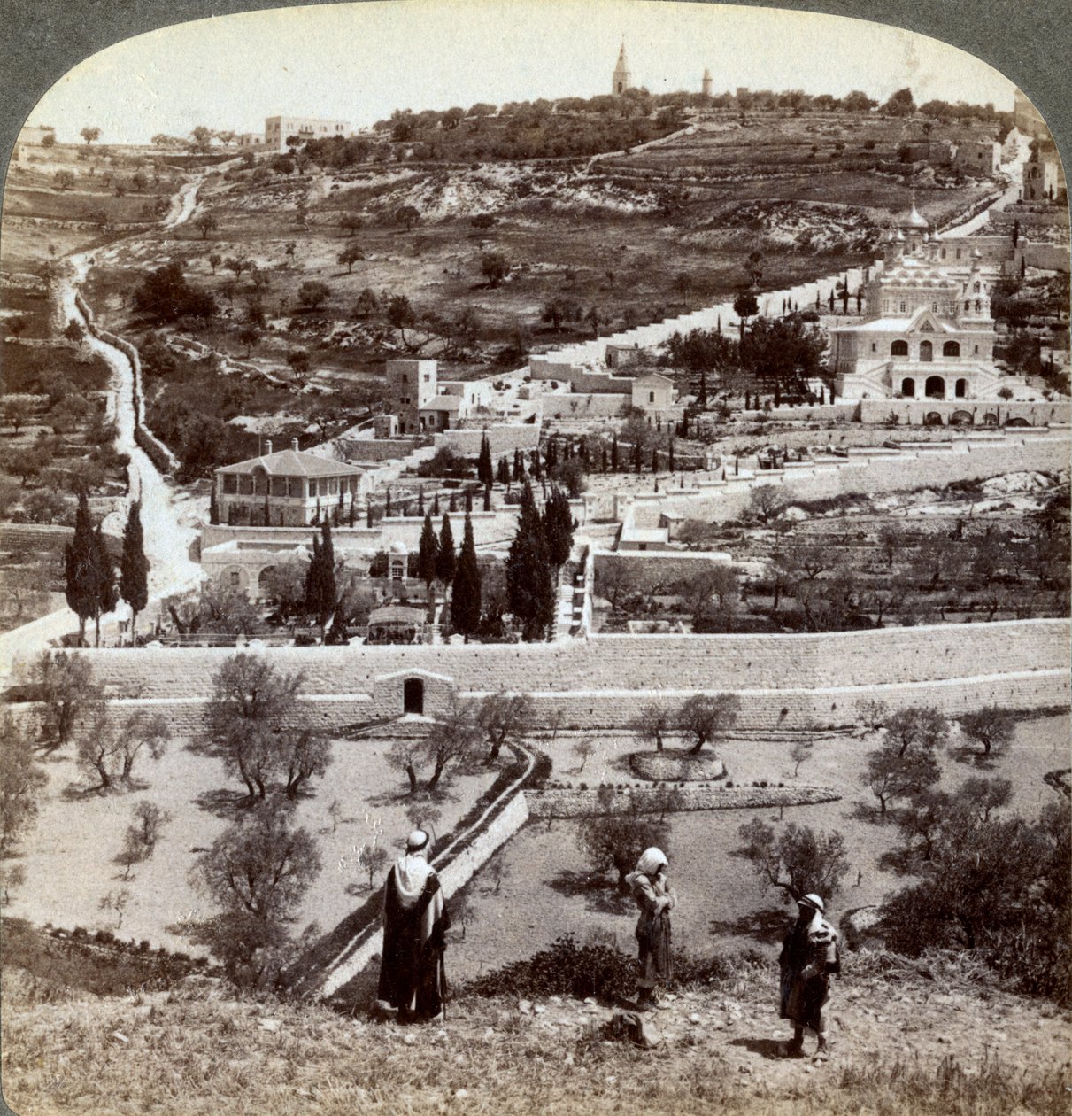 Getsemane-hagen og Oljeberget, Palestina, 1908. av Underwood and Underwood