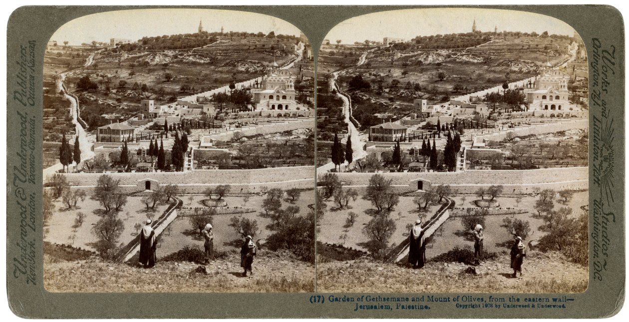Getsemane-hagen og Oljeberget, Palestina, 1908. av Underwood and Underwood