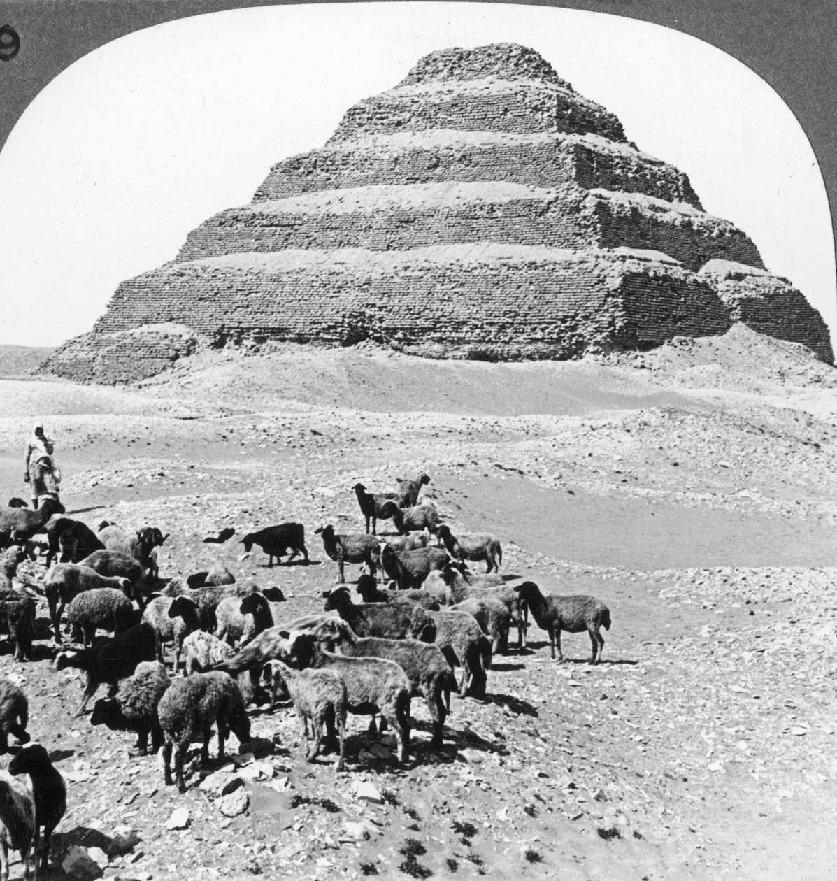 Pyramiden i Sakkarah, Egypt, 1905. av Underwood and Underwood