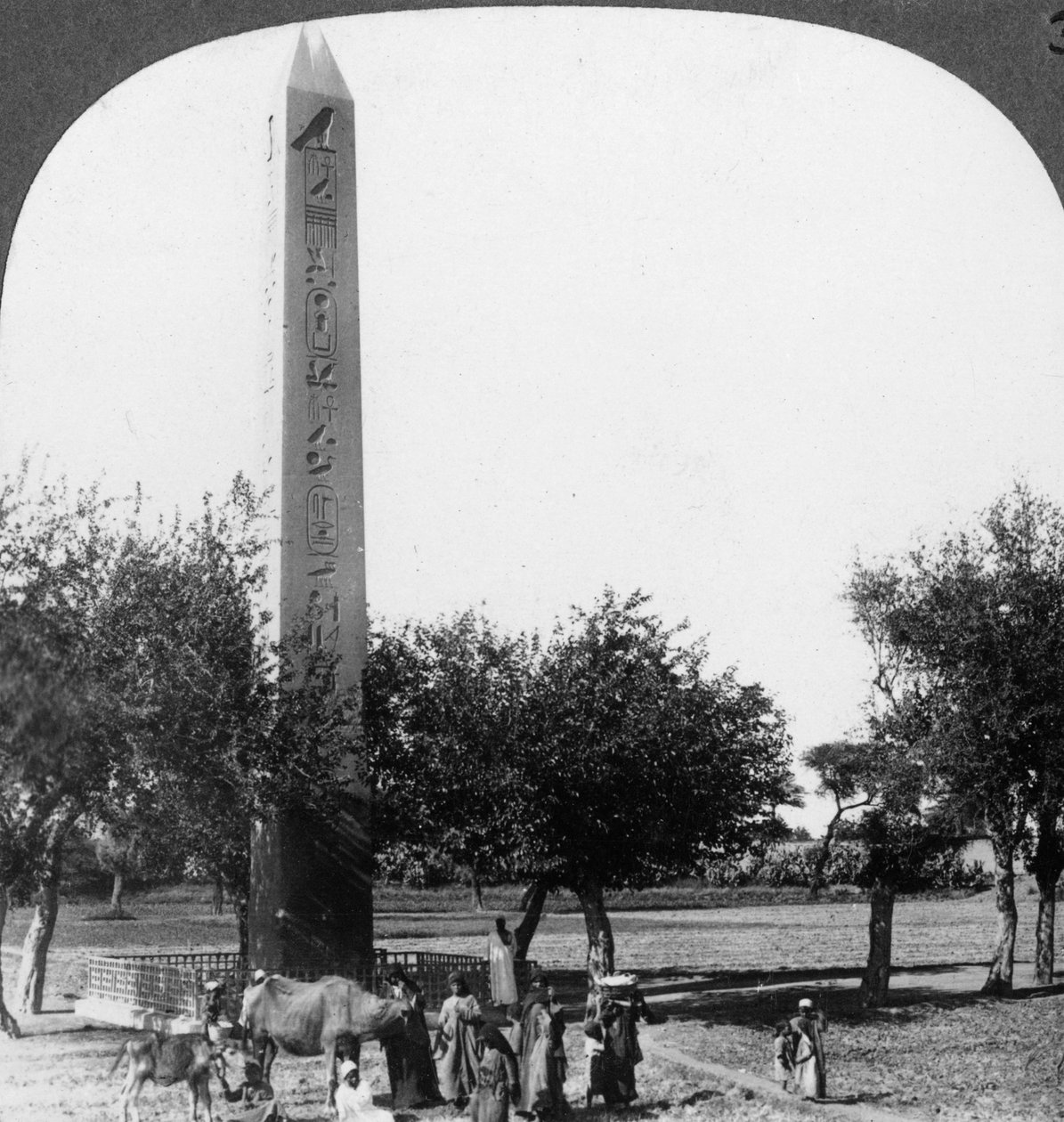Obelisken til Heliopolis, Egypt, 1905. av Underwood and Underwood