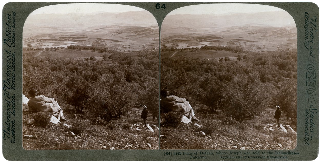 Dothan-sletten, Palestina, 1900. av Underwood and Underwood