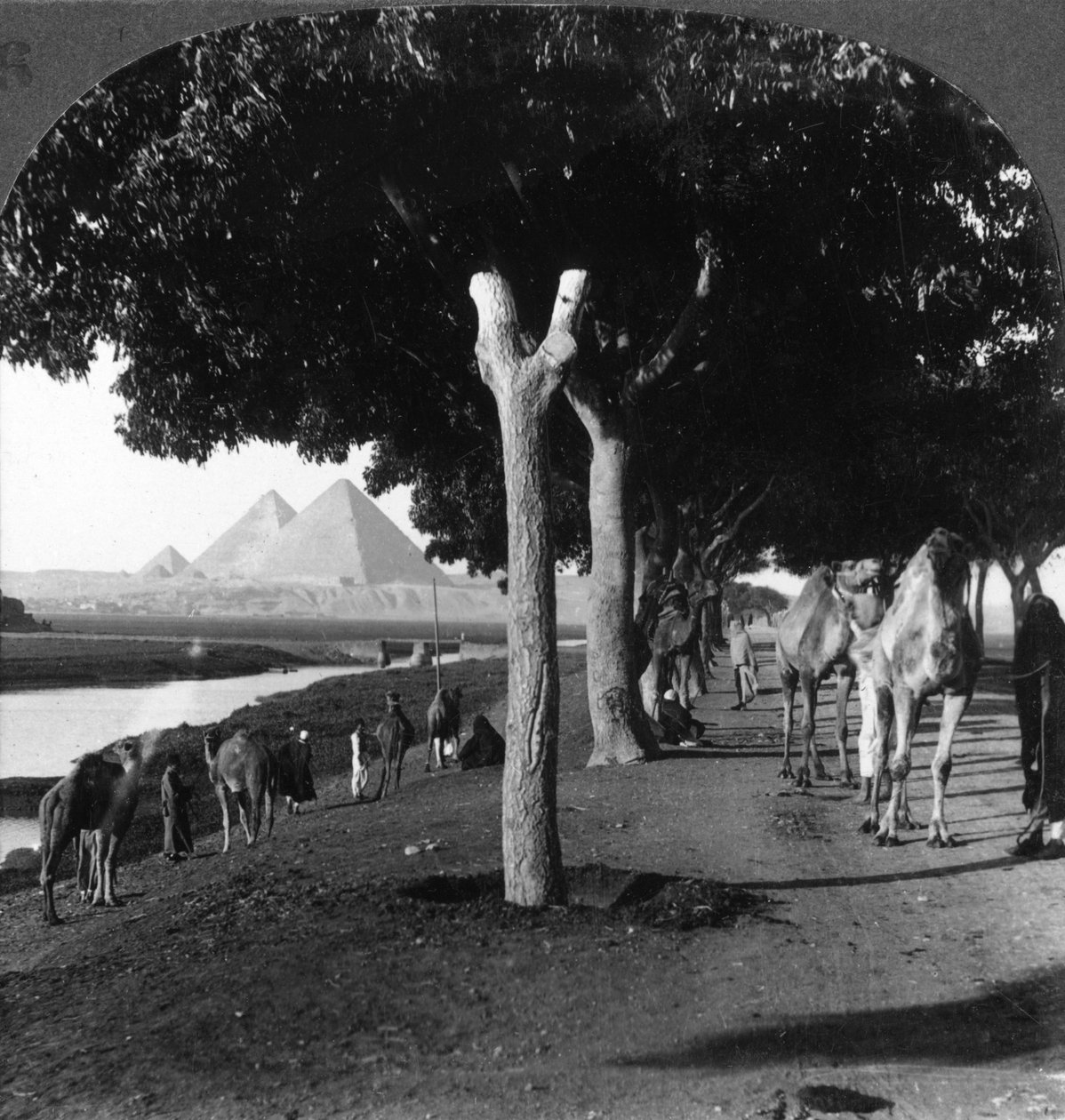 Veien til pyramidene, Giza, Egypt, 1905. av Underwood and Underwood