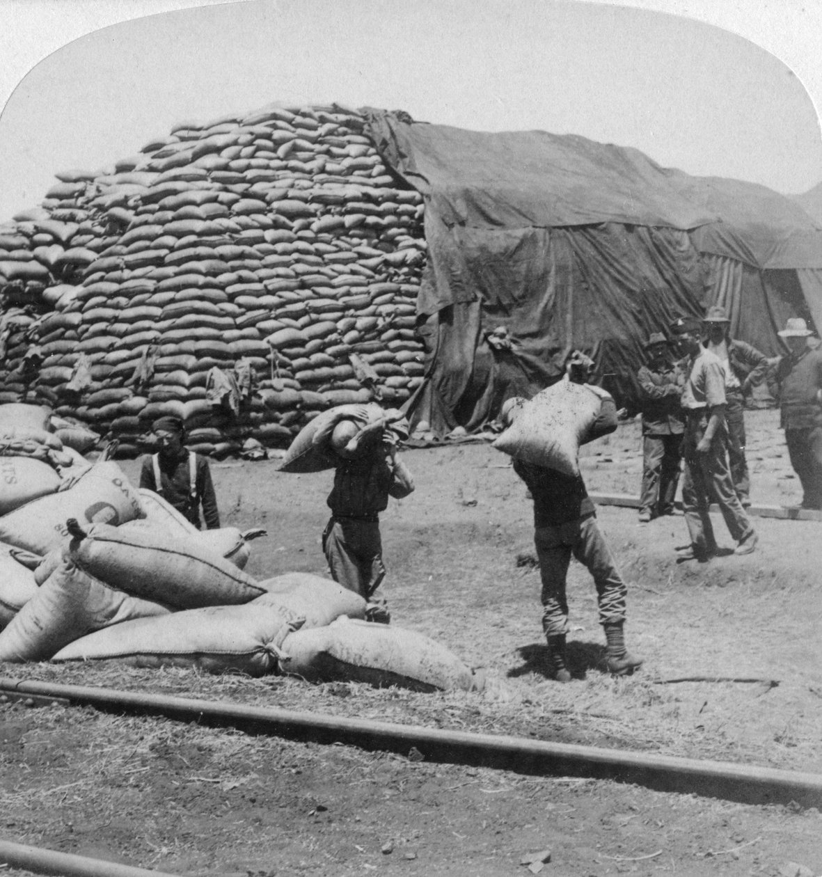 Tonn på tonn med havre for Tommys trofaste venn, De Aar, Sør-Afrika, Boer War, 1900. av Underwood and Underwood
