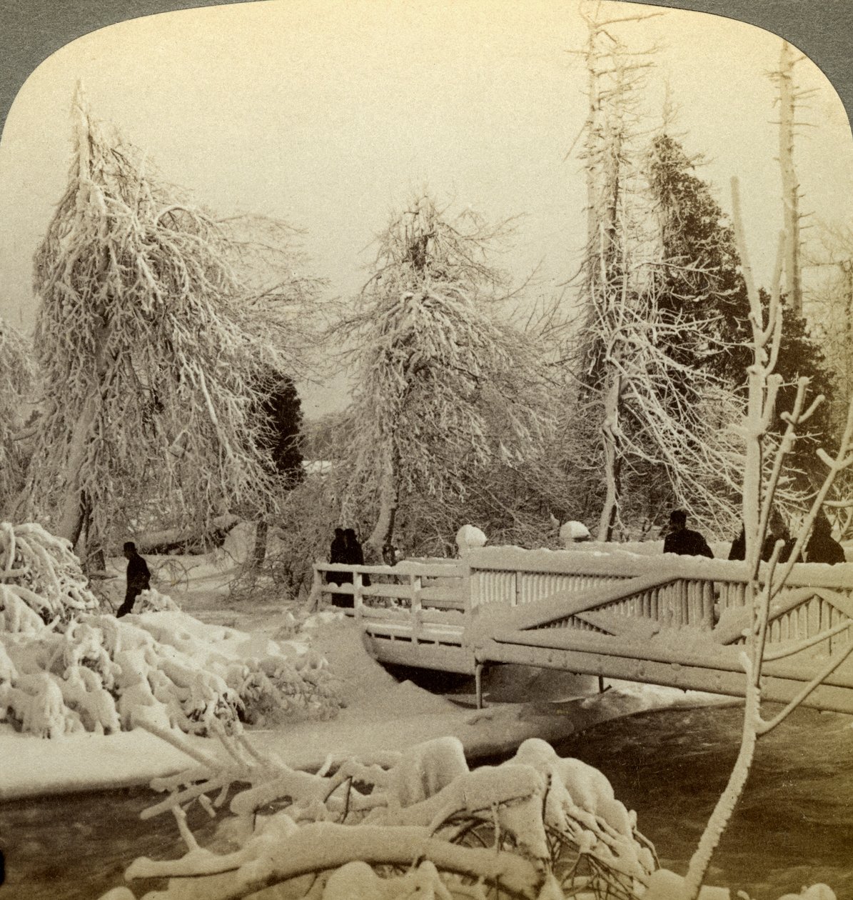 Vinterscene, Luna Island, Niagara Falls, New York, USA. av Underwood and Underwood