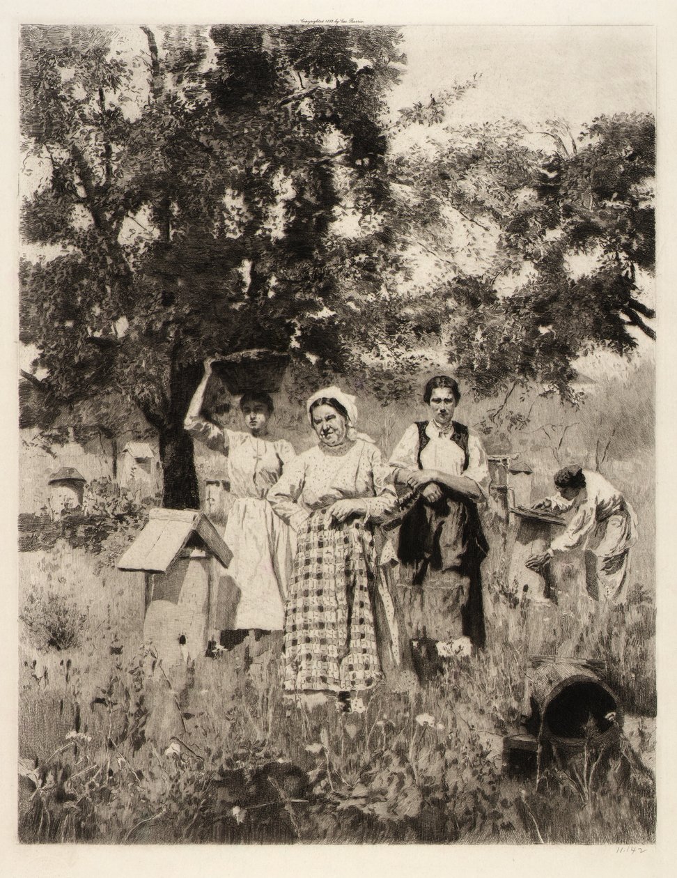  av Unidentified