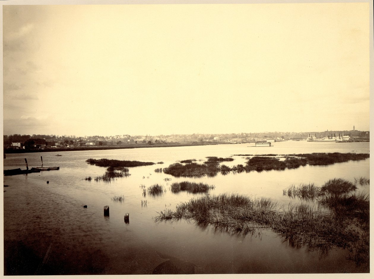  av Unidentified