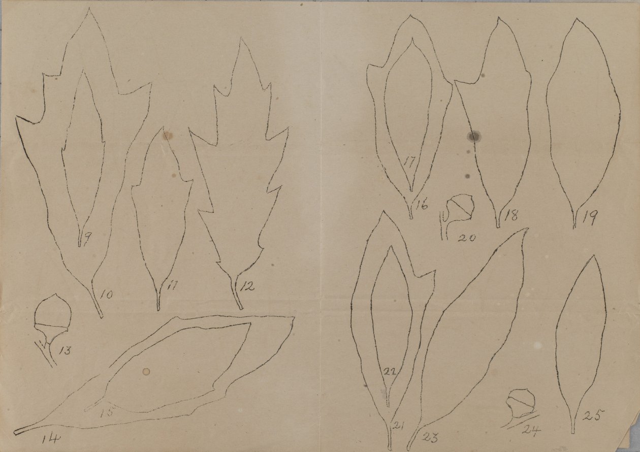  av Unidentified