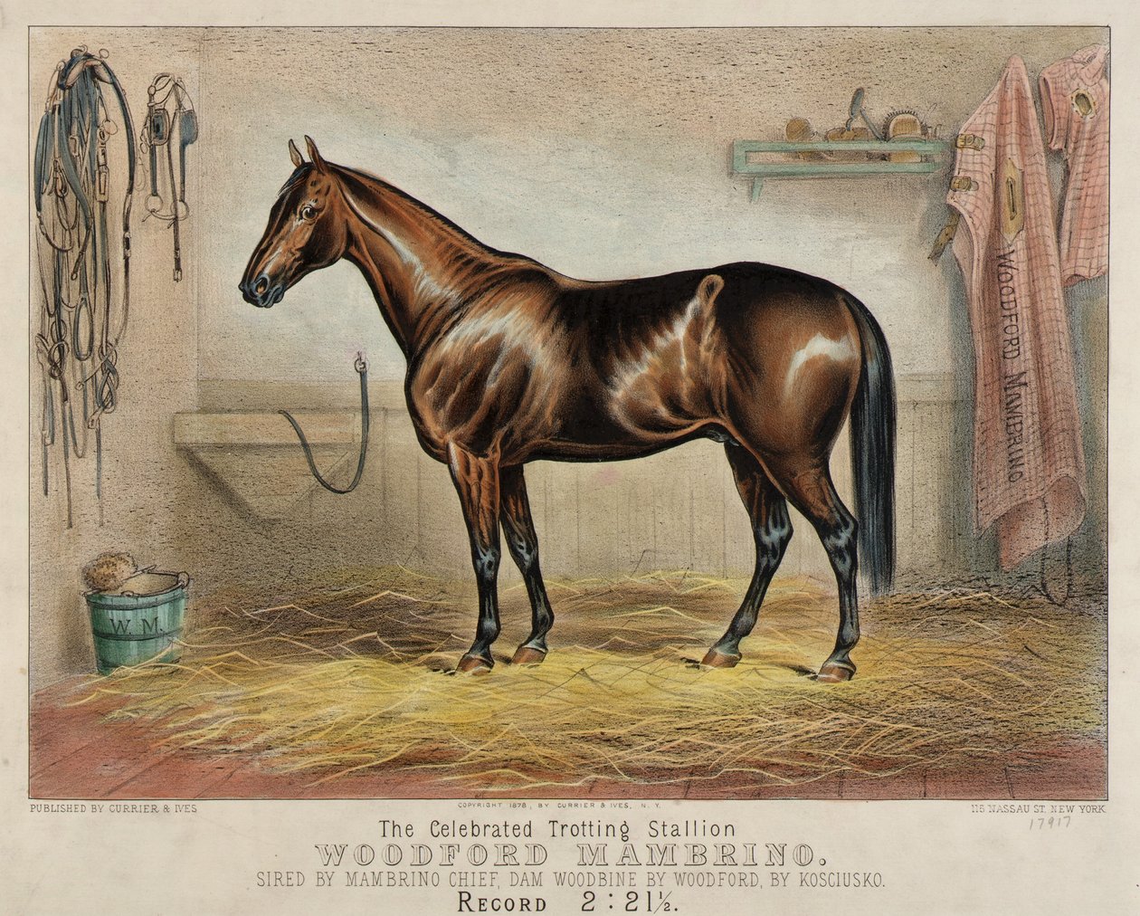  av Unidentified