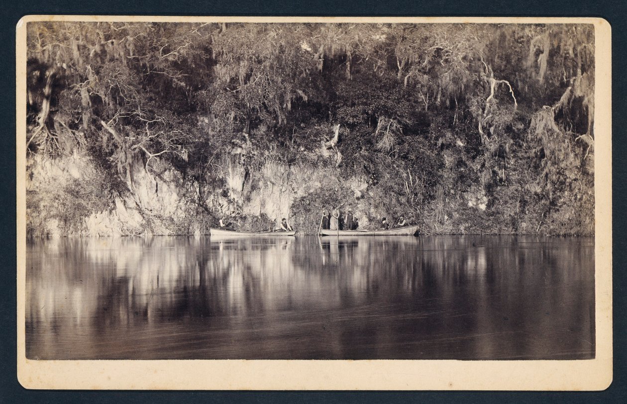 [Under klippene ved Withlacoochee-elven, Florida] av Unidentified