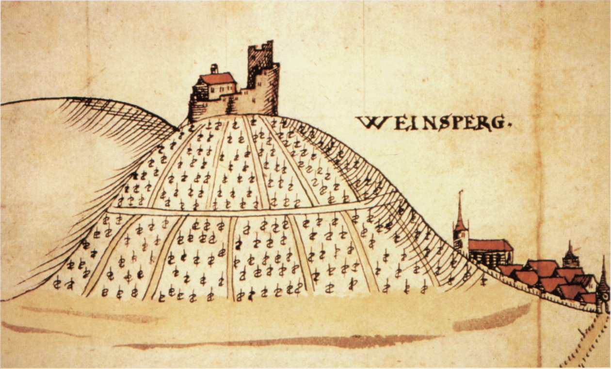Weinsberg i 1597. Del av et kart over Heilbronn -territoriet av Unknown