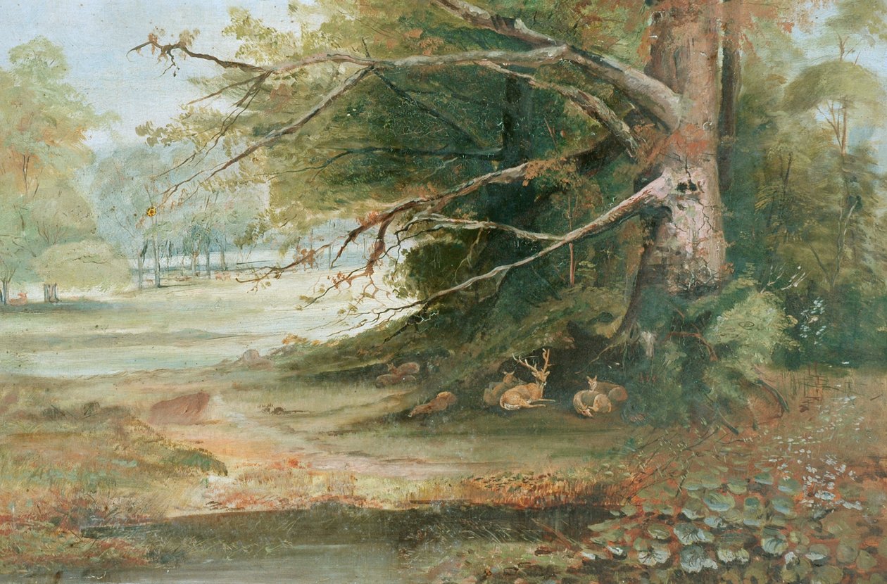 Hjort i en Woodland Glade av Unknown
